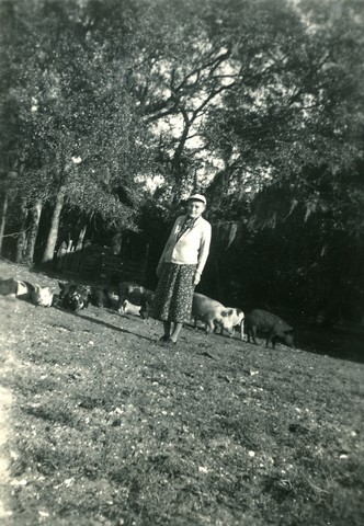 1949-12 Gomama with pigs-chickens.jpg